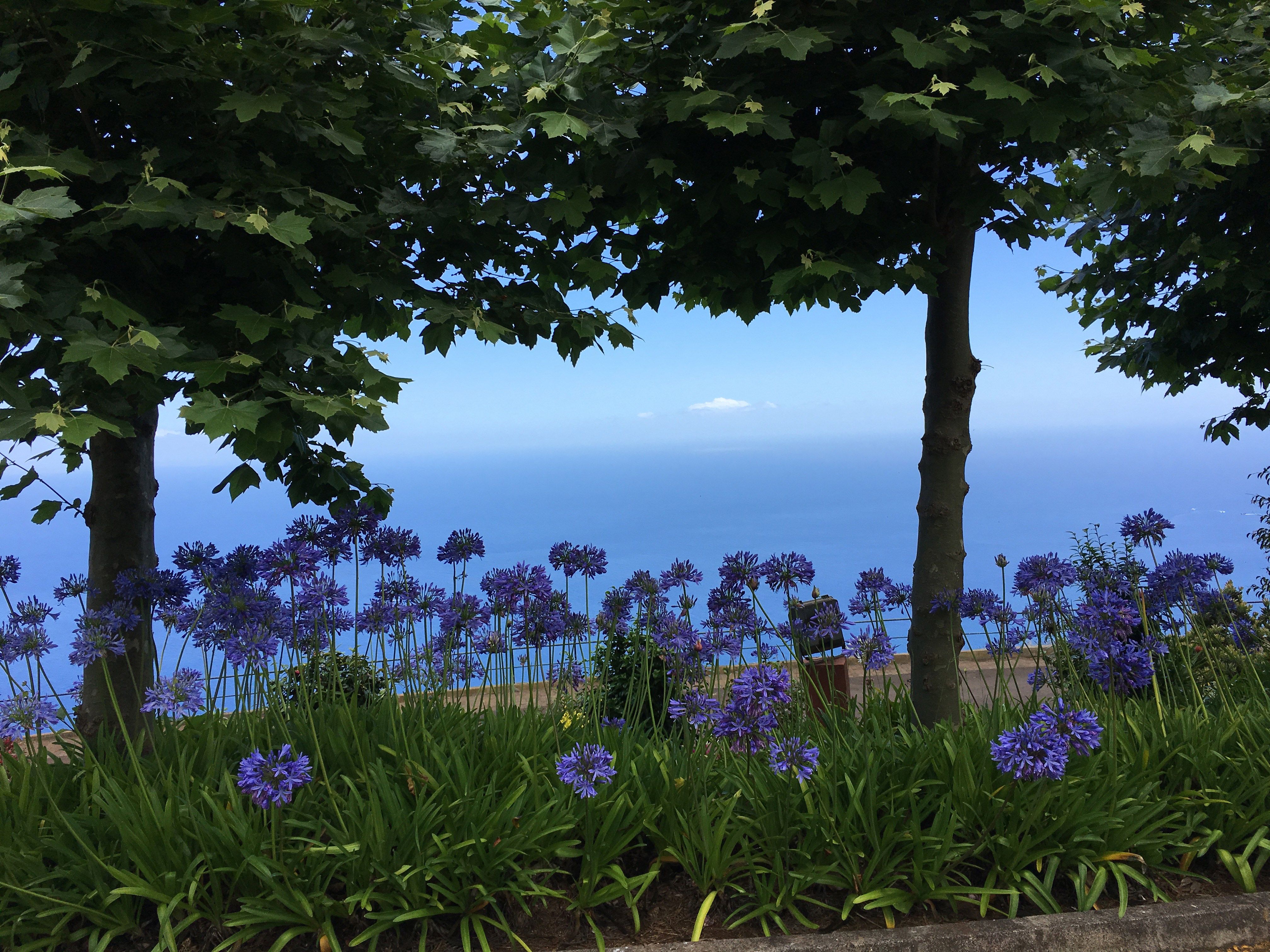 madeira-views-78